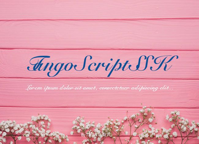 TangoScriptSSK example