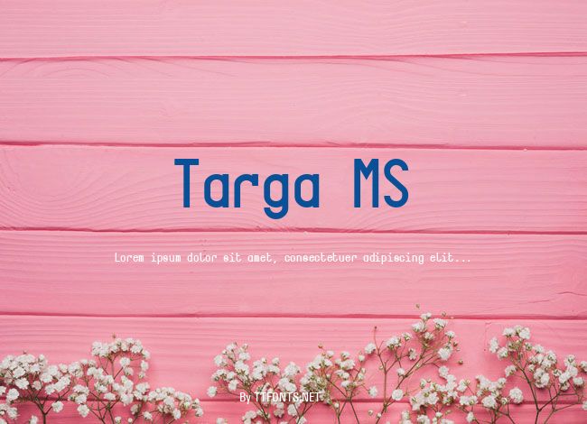 Targa MS example