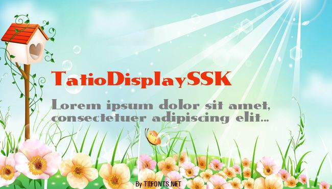 TatioDisplaySSK example