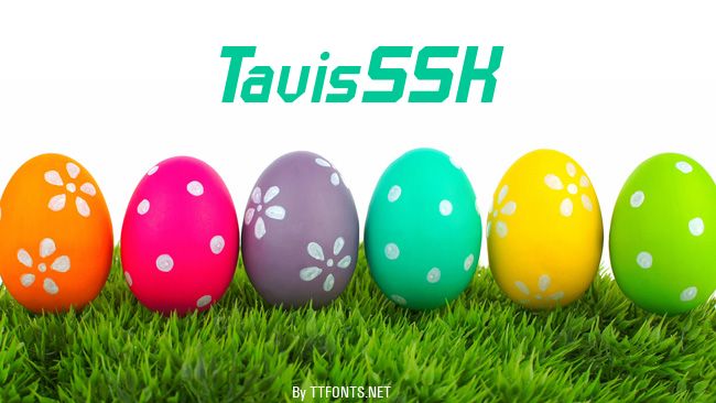 TavisSSK example