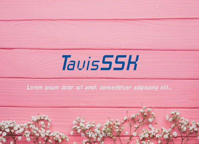 TavisSSK example