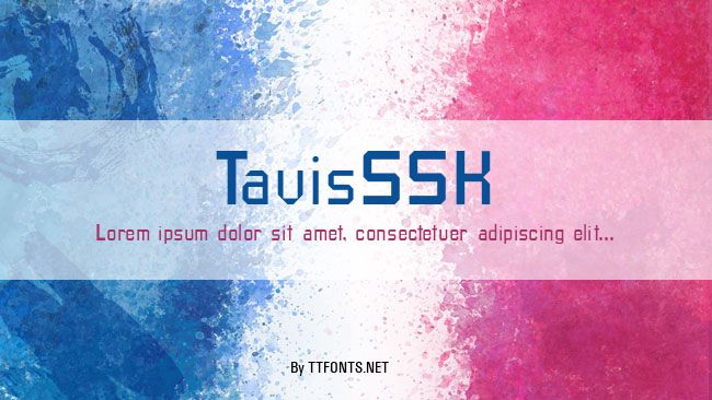 TavisSSK example