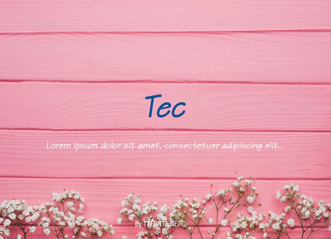 Tec example