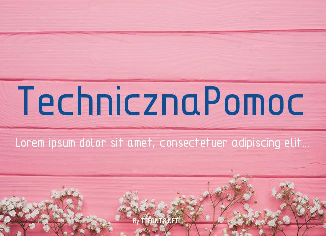 TechnicznaPomoc example
