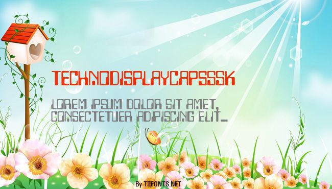 TechnoDisplayCapsSSK example