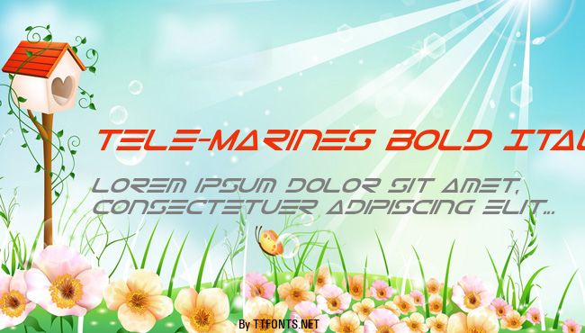Tele-Marines Bold Italic example