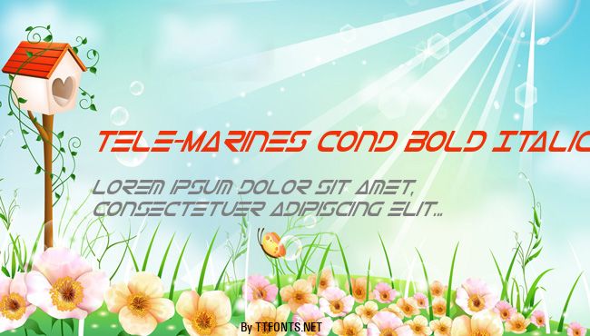 Tele-Marines Cond Bold Italic example