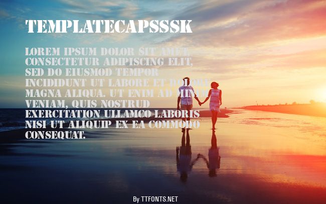 TemplateCapsSSK example