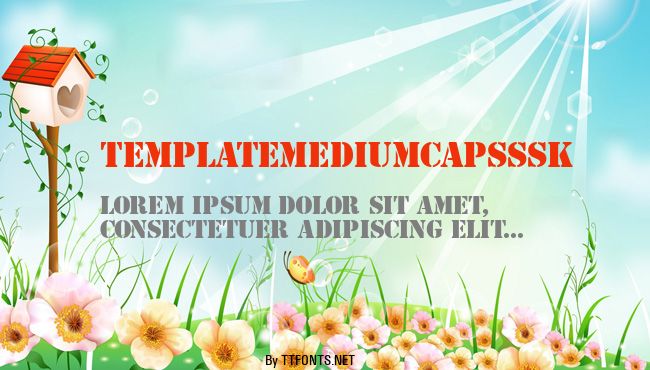 TemplateMediumCapsSSK example