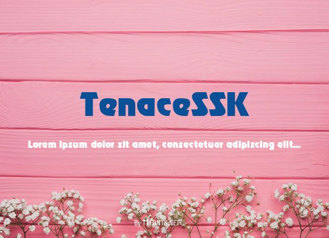 TenaceSSK example