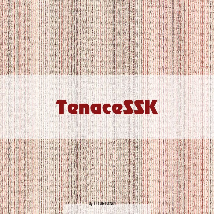 TenaceSSK example