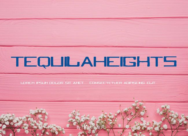 TequilaHeights example