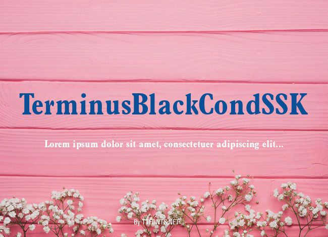 TerminusBlackCondSSK example