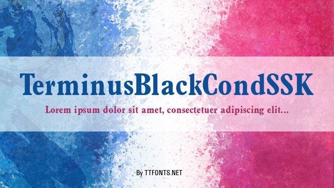 TerminusBlackCondSSK example