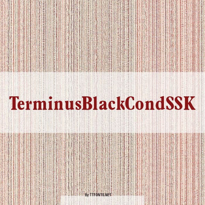 TerminusBlackCondSSK example