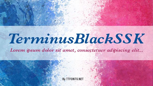 TerminusBlackSSK example