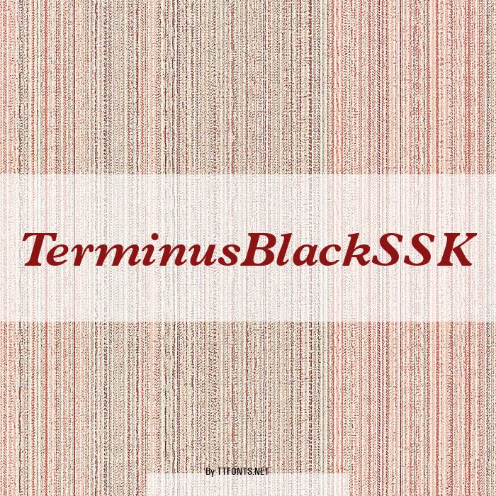 TerminusBlackSSK example