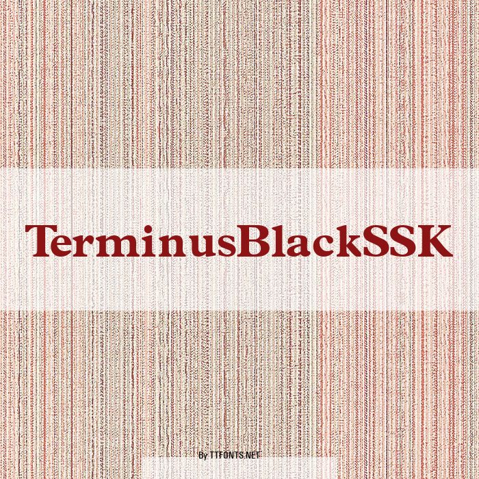 TerminusBlackSSK example