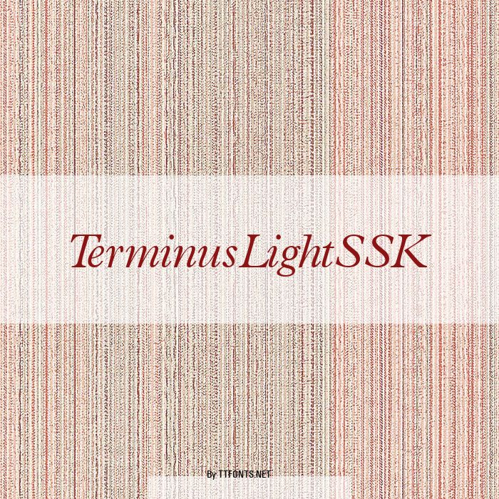 TerminusLightSSK example