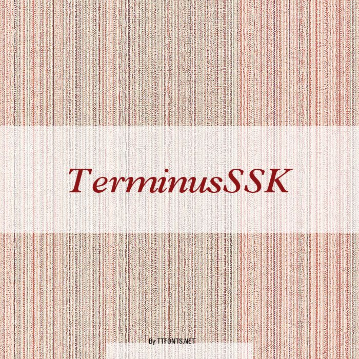 TerminusSSK example