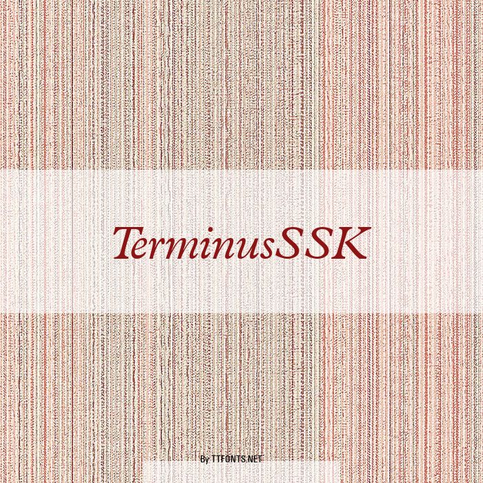 TerminusSSK example