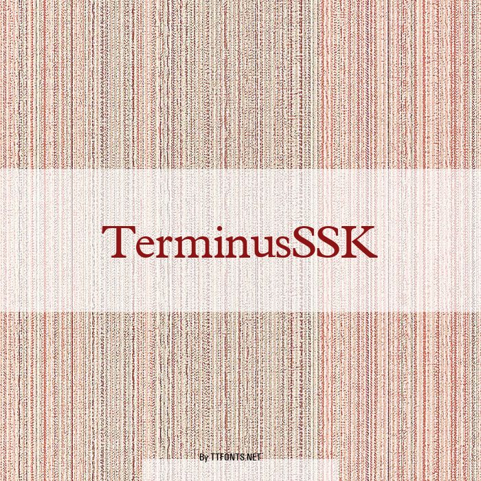 TerminusSSK example