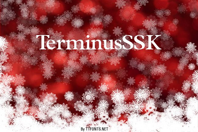 TerminusSSK example