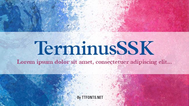 TerminusSSK example