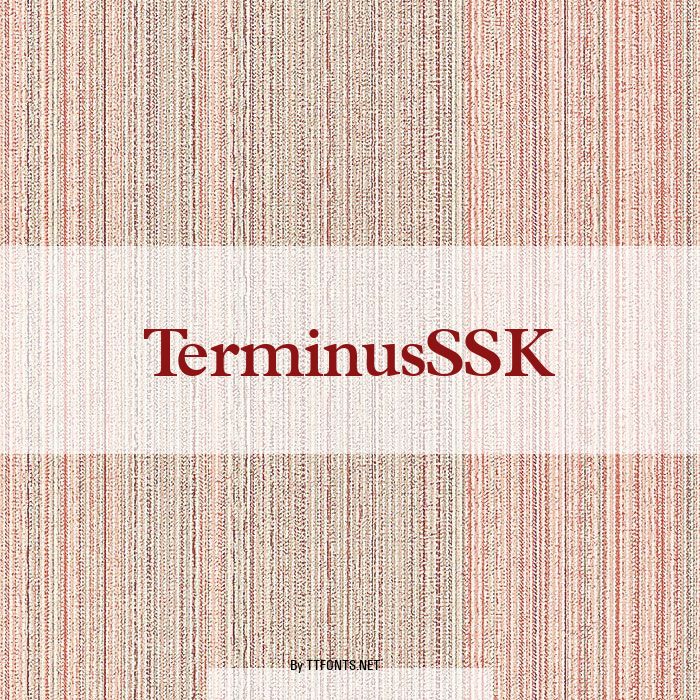 TerminusSSK example