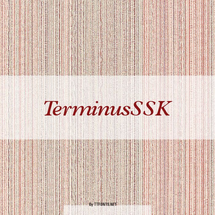 TerminusSSK example