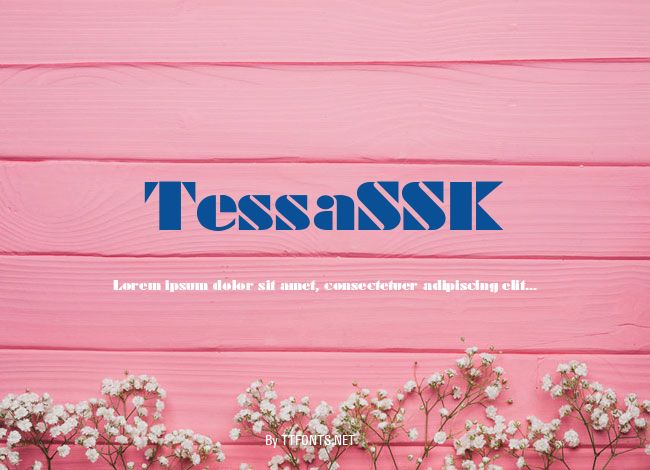 TessaSSK example