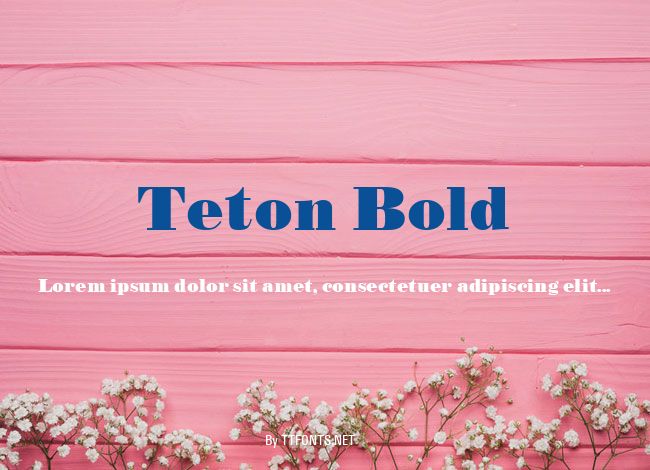 Teton Bold example