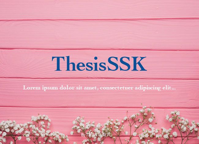 ThesisSSK example