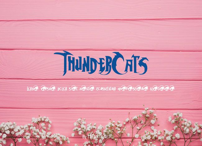 ThunderCats example
