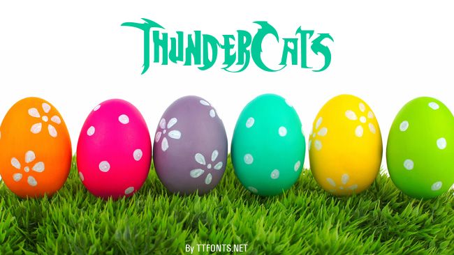 ThunderCats example