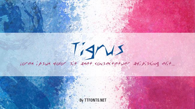 Tigrus example