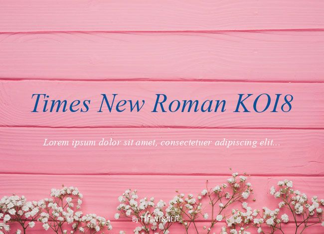 Times New Roman KOI8 example