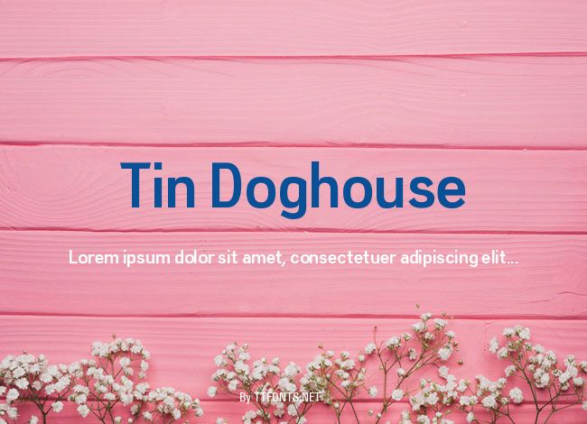 Tin Doghouse example