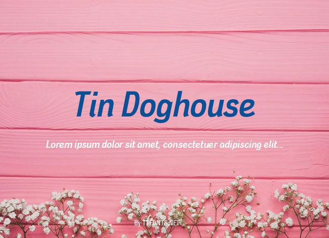 Tin Doghouse example