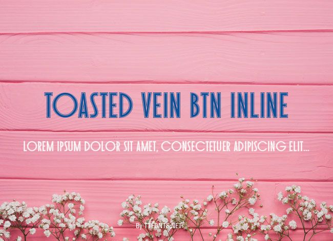 Toasted Vein BTN Inline example