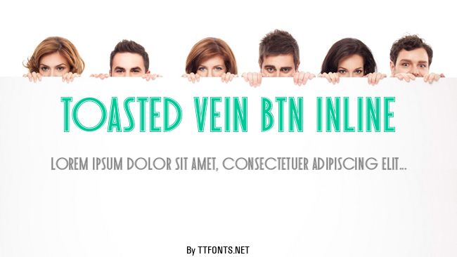 Toasted Vein BTN Inline example
