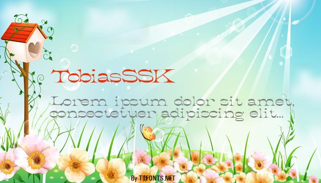 TobiasSSK example