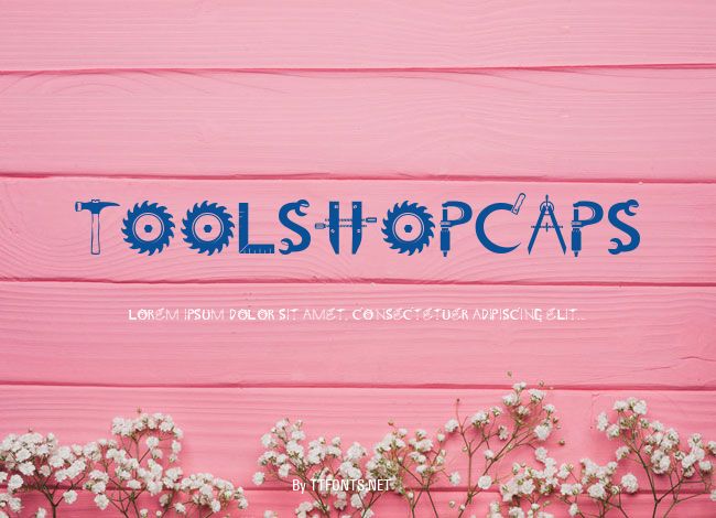 ToolShopCaps example