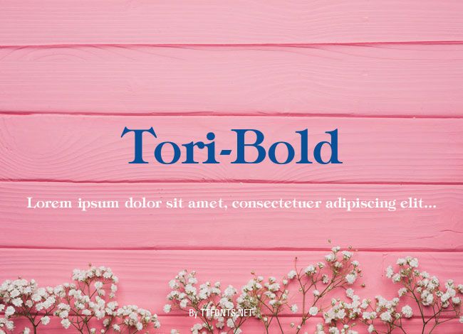 Tori-Bold example
