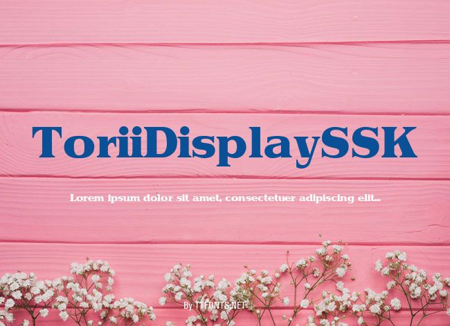 ToriiDisplaySSK example