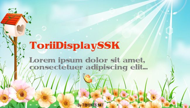 ToriiDisplaySSK example