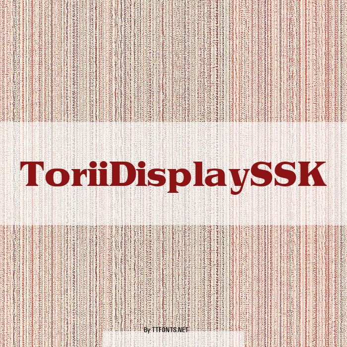 ToriiDisplaySSK example