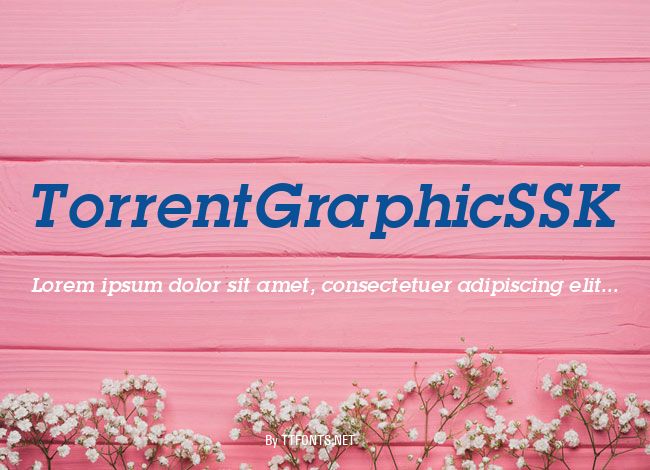 TorrentGraphicSSK example