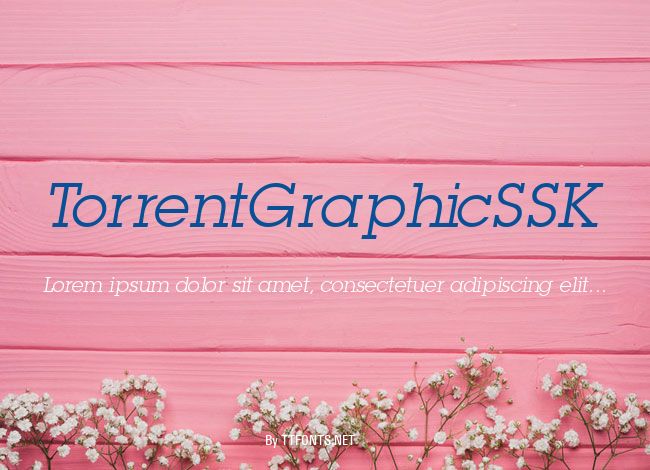 TorrentGraphicSSK example