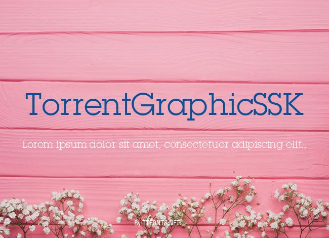 TorrentGraphicSSK example